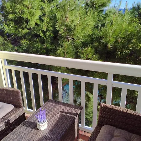 Dolphin Apartments, Each With The Sea View *